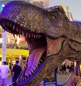 Meet your Posher, Leslie